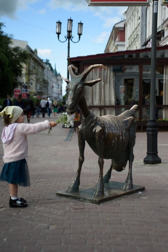 Фотография автора Natalia Starikova