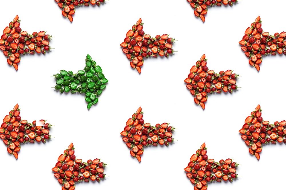 Photograph by Прокошева Екатерина