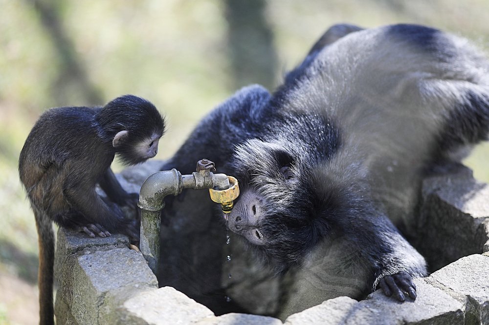 Photograph by Наталья Шалкевич