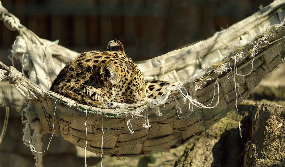 Photograph by Наталья Шалкевич