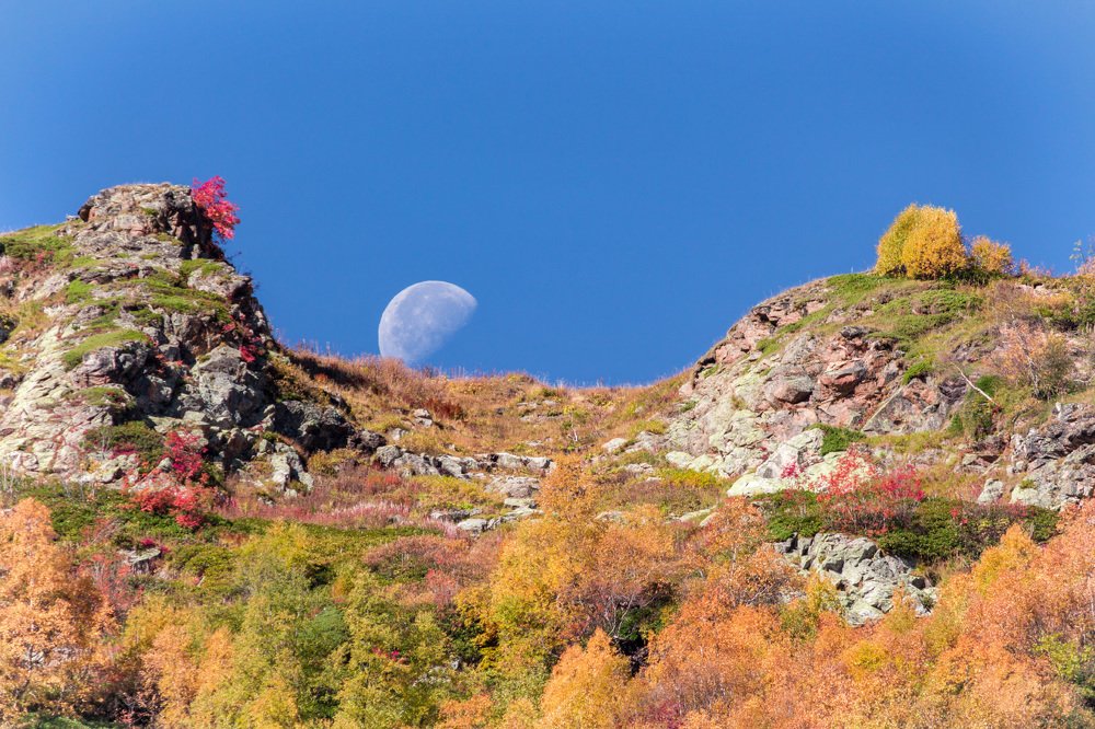 Photograph by Сергей Стратов