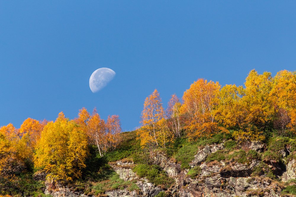 Photograph by Сергей Стратов