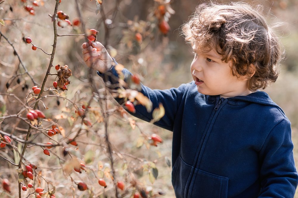 Photograph by Zara Kibar