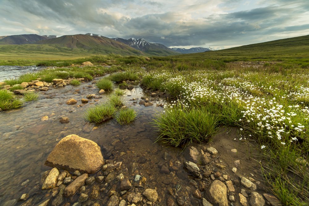 Photograph by Валерий Степанюк