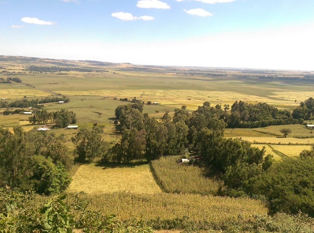 Landscape