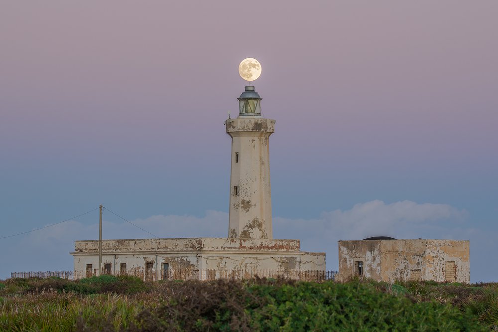 Photograph by Massimo Tamajo