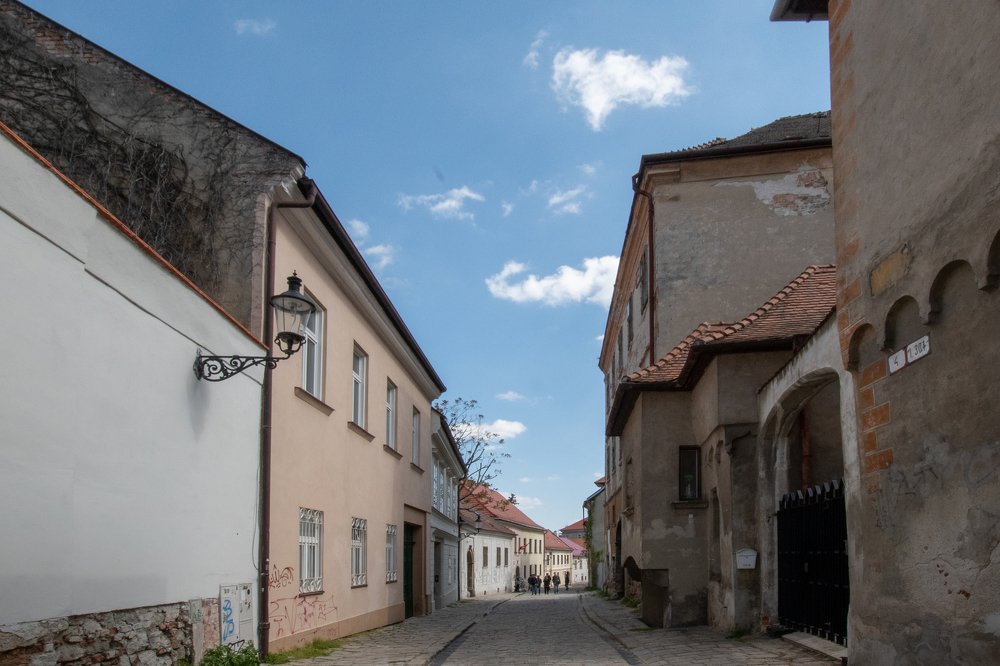 Фотография автора Natalia Starikova