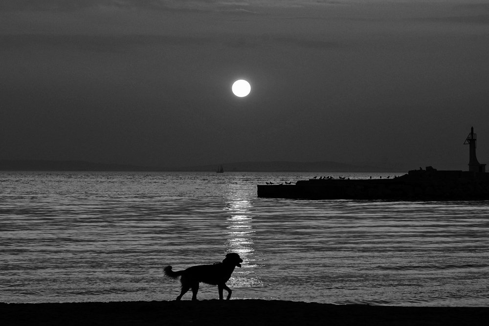 Photograph by julio cesar berisso