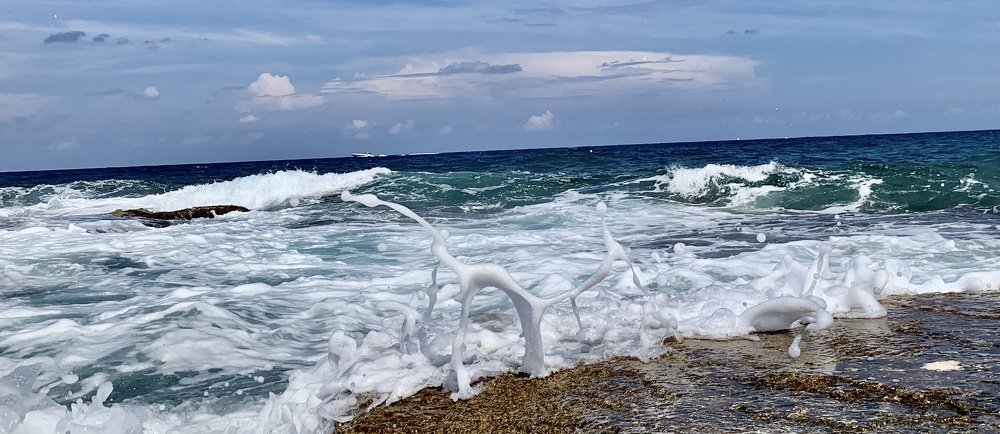 Photograph by Лука Вуисић