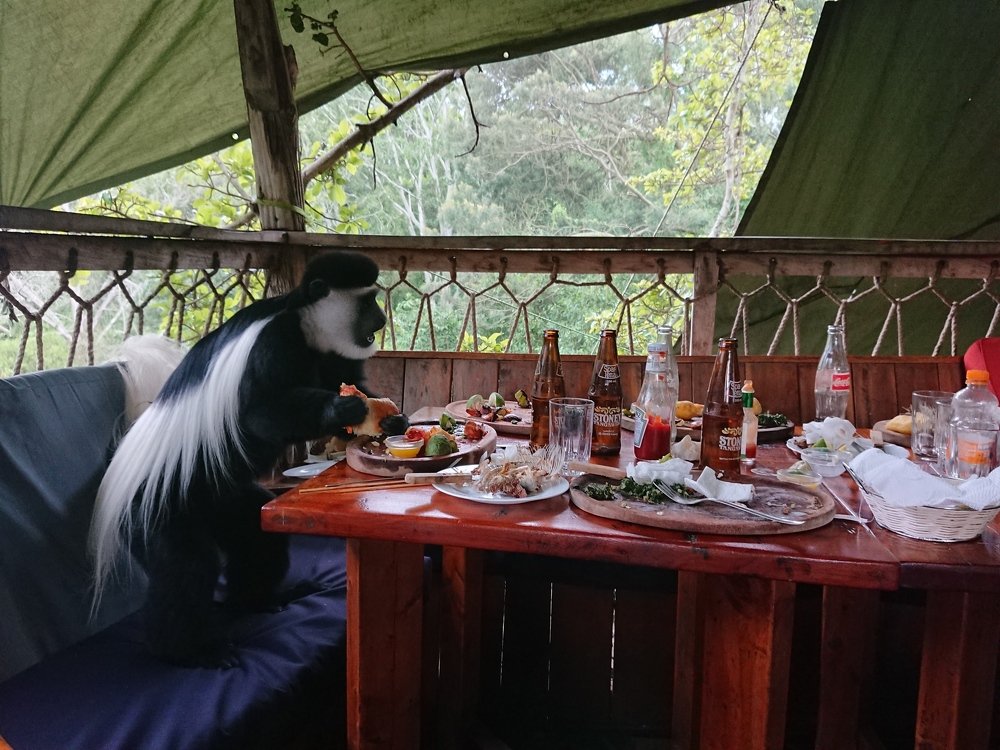 Photograph by christopher satish