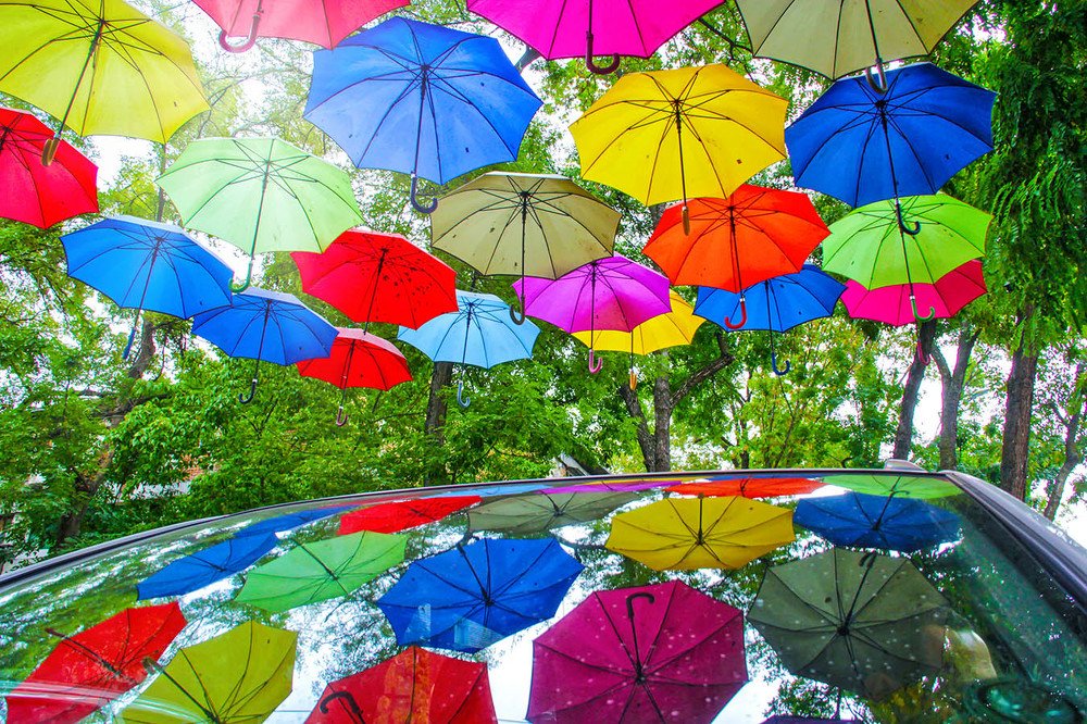 Photograph by Alla Gajeva