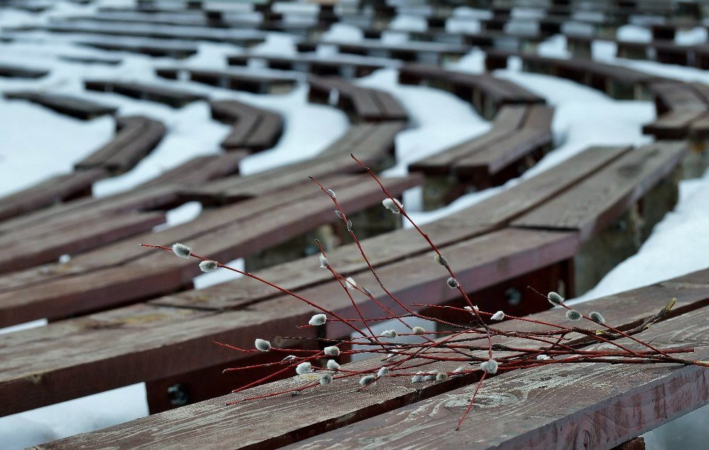 Photograph by Александр Попов