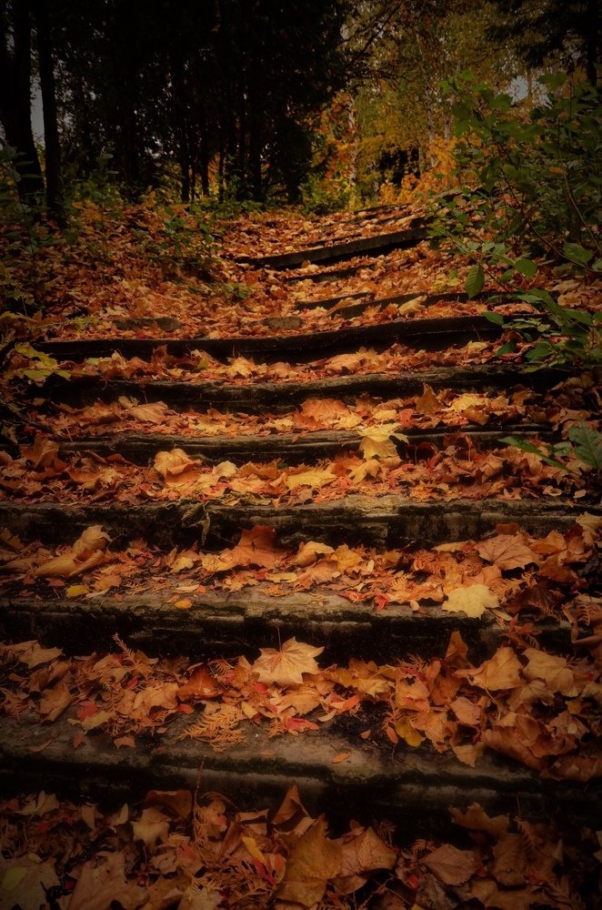 Photograph by Ольга Мукина