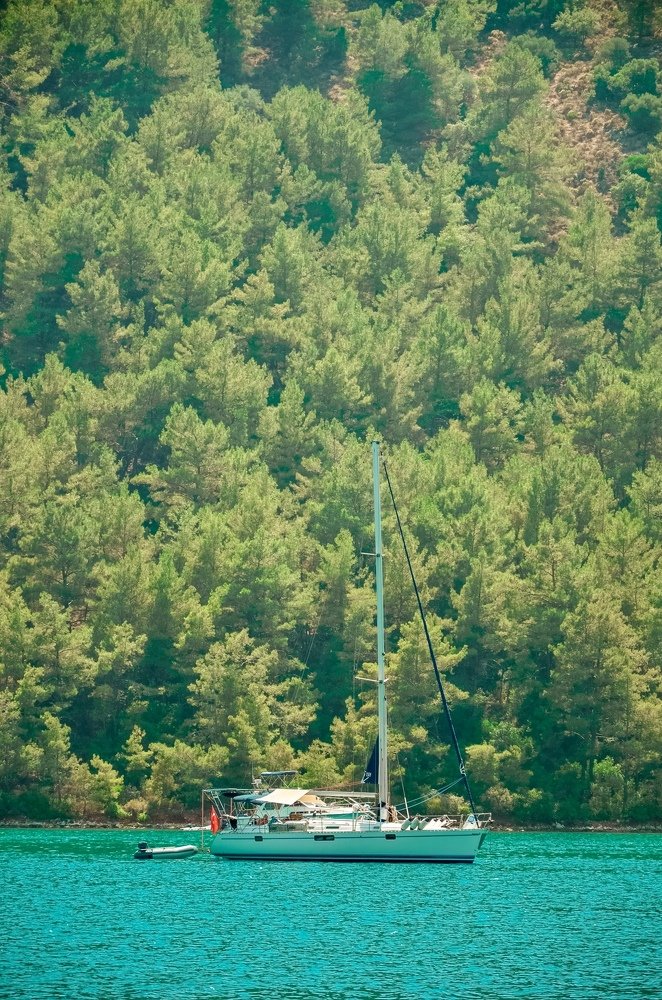 Photograph by Ольга Мукина