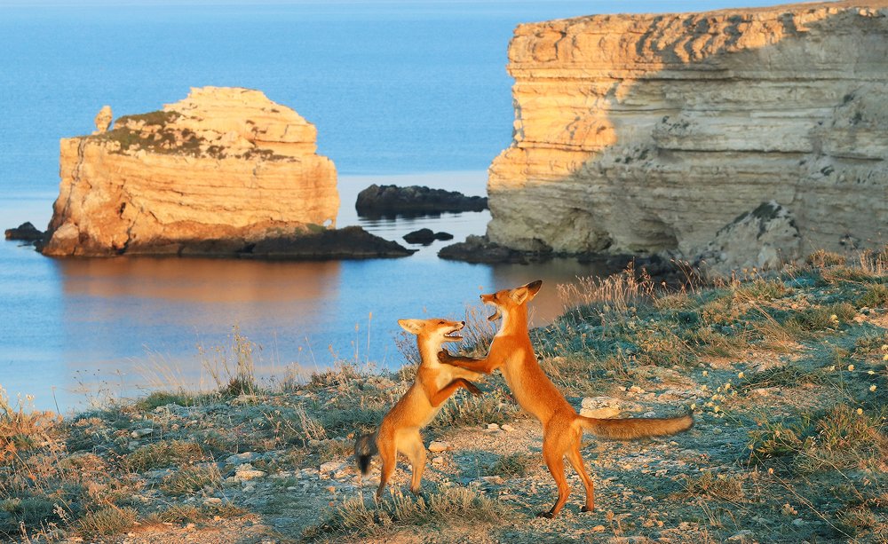 Photograph by Владимир Бочковский