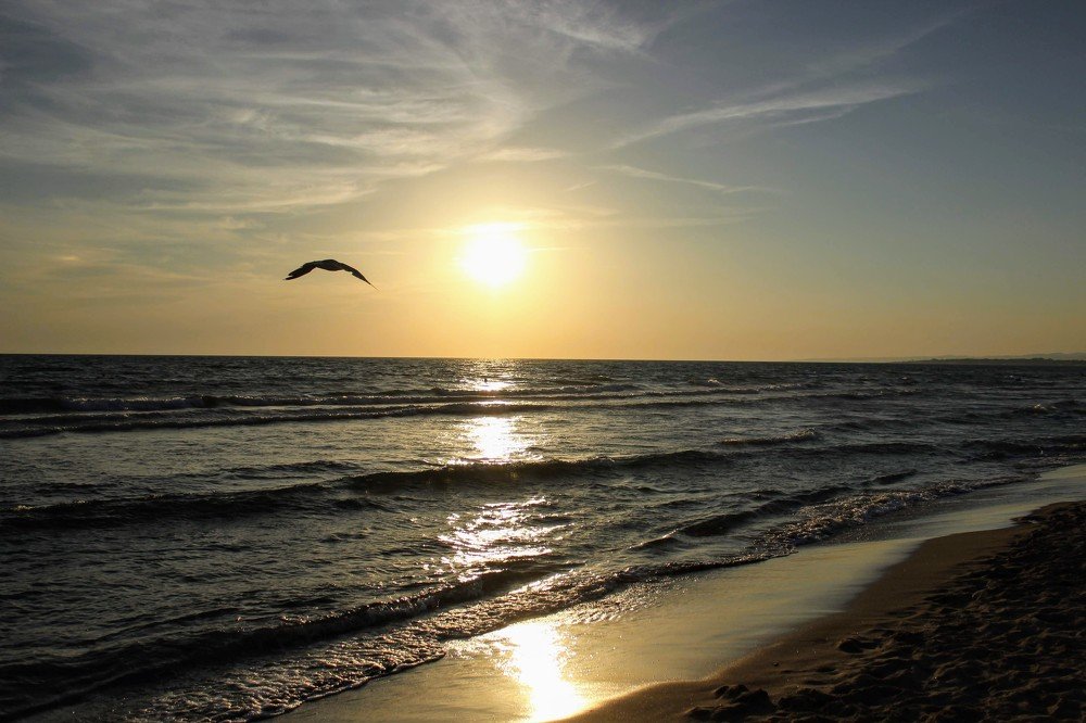 Photograph by luca palombelli