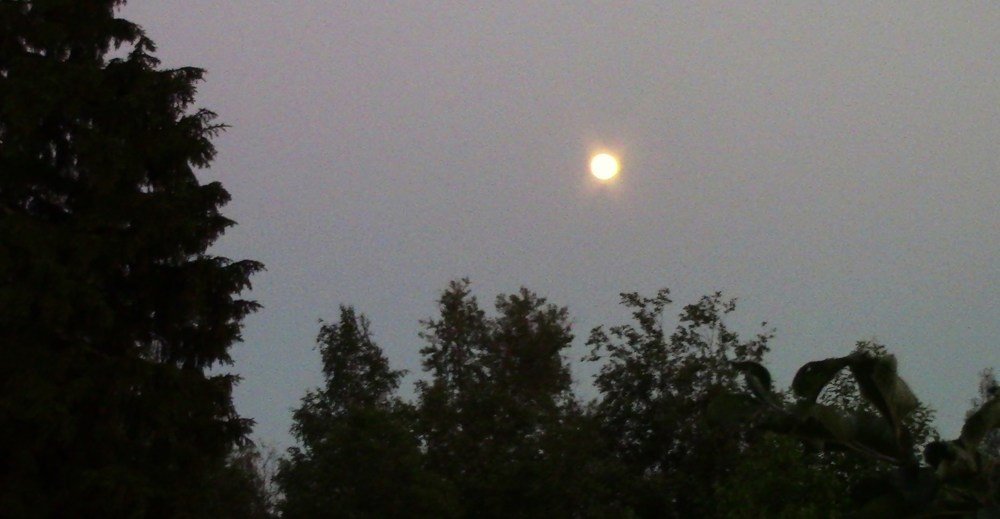 Photograph by Ирина Степановна Азаренкова