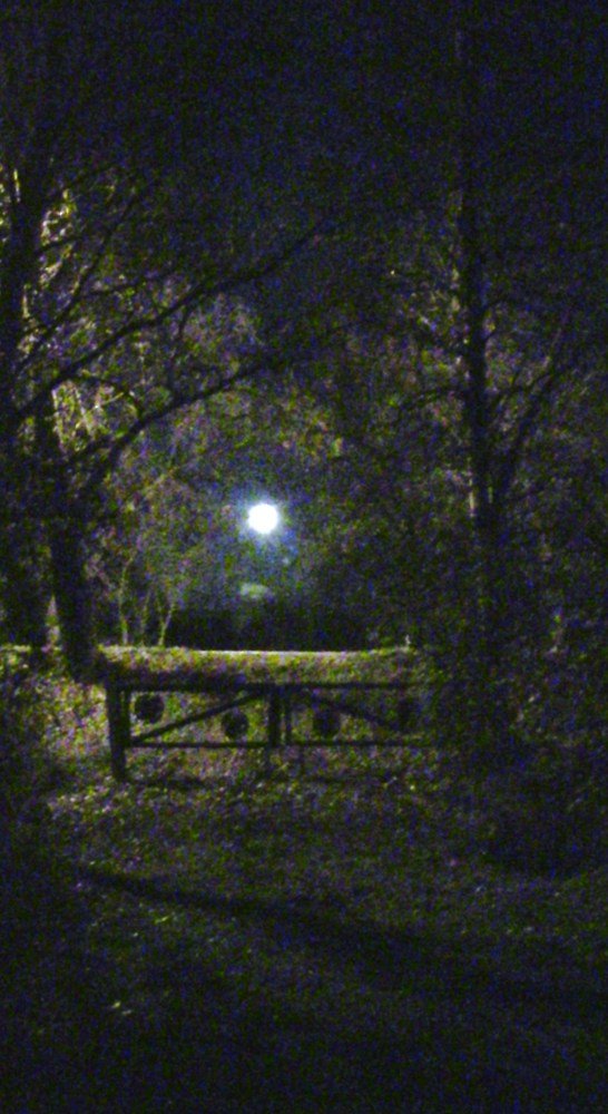 Photograph by Ирина Степановна Азаренкова