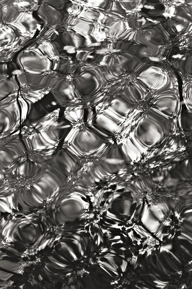 Photograph by Irina Grigoryeva