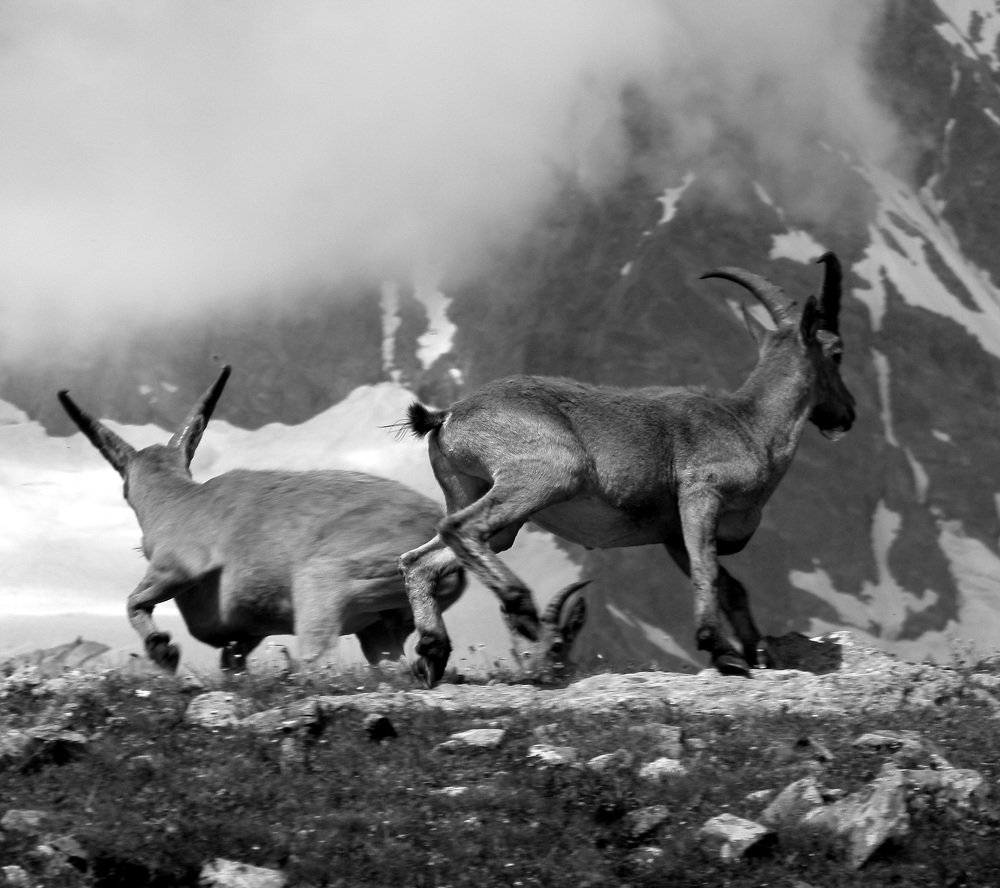 Динамика ...