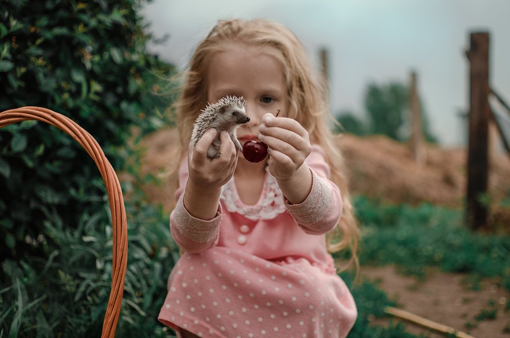 Photograph by Юлия Суханова