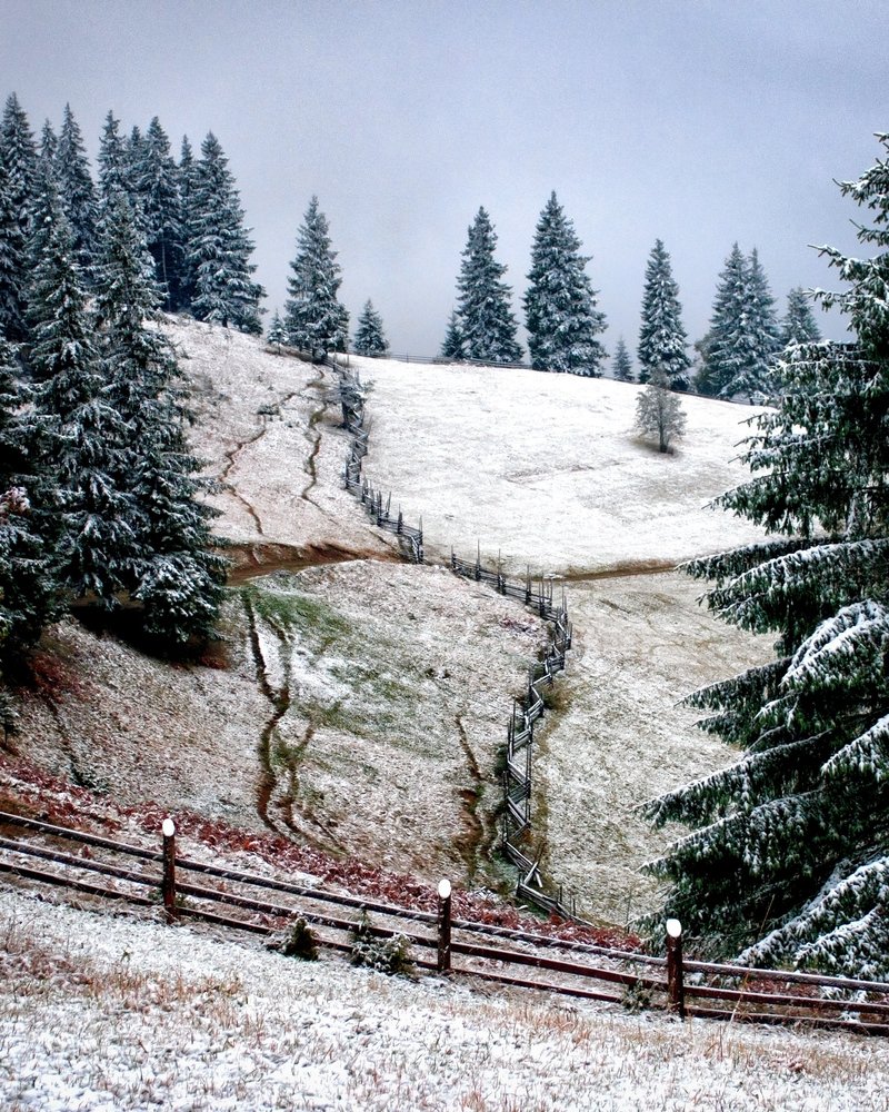 Зимняя графика.