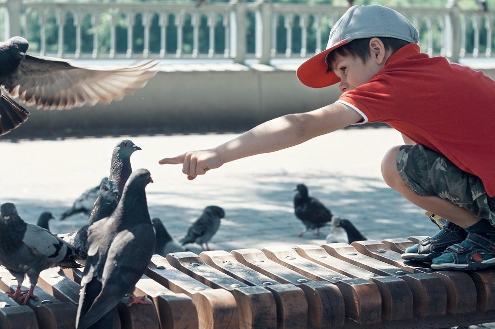 По образу и подобию