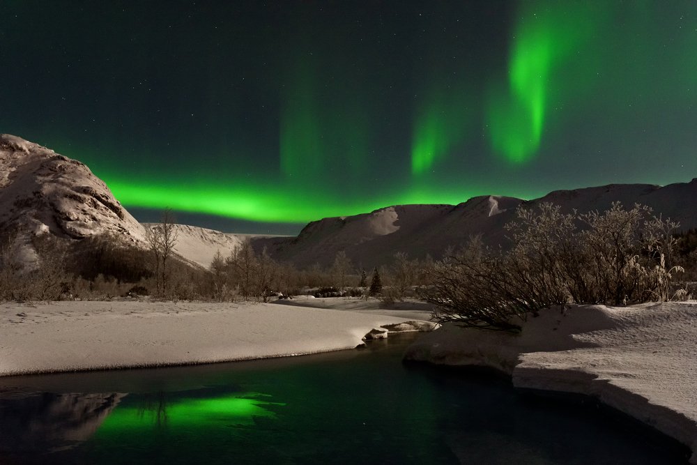 Photograph by Юлия Шестопалова