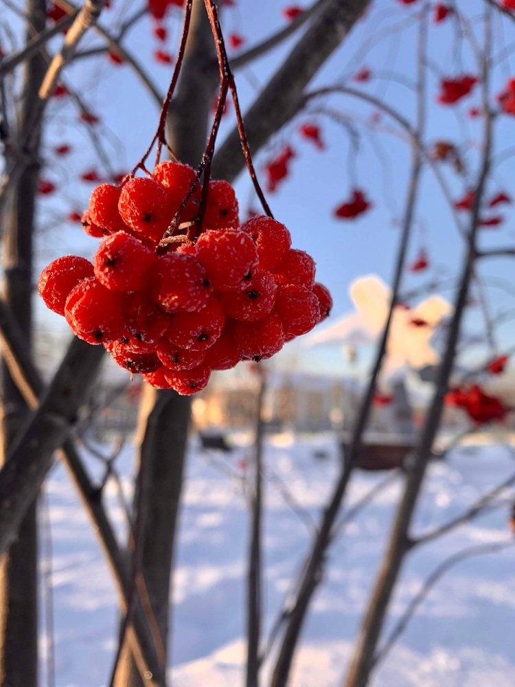 Photograph by Светлана Хохлова