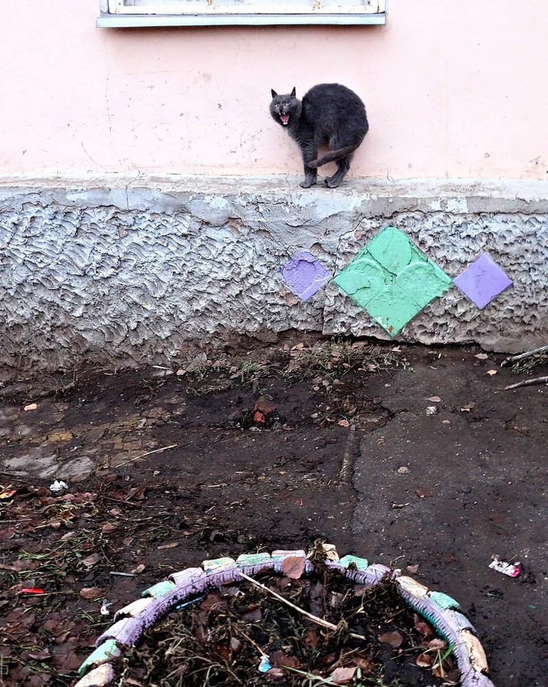 Photograph by Степанов Евгений