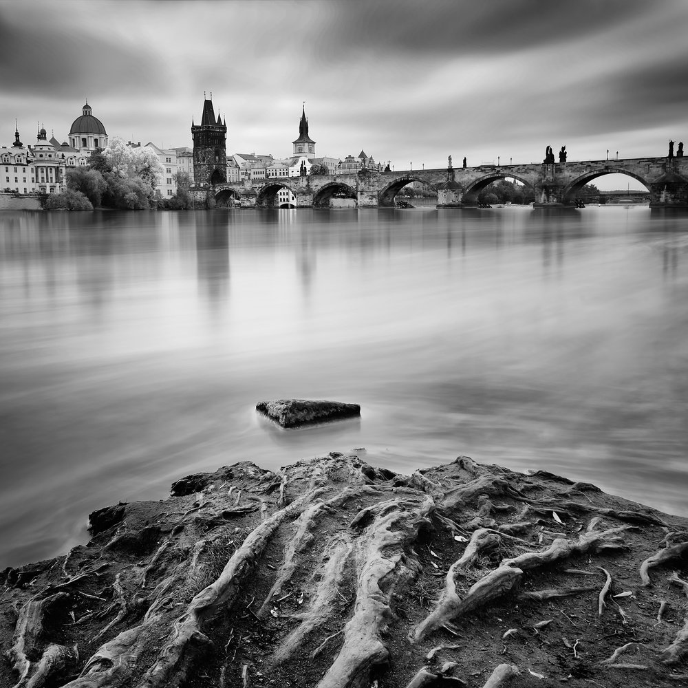 Roots Of Charles Bridge