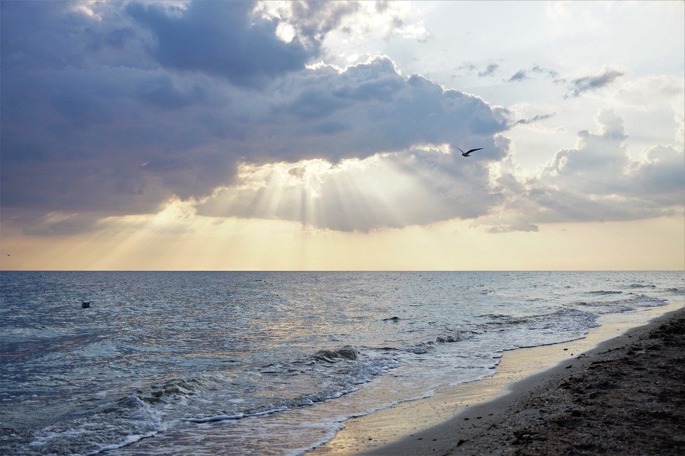 Photograph by Алеся Писнова