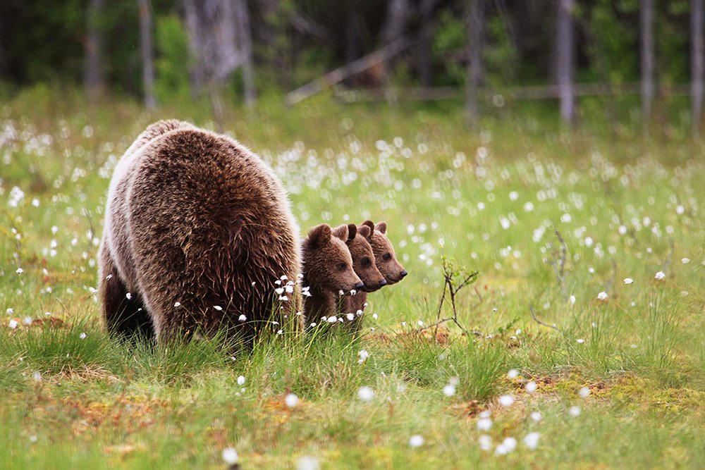 Photograph by Valtteri Mulkahainen