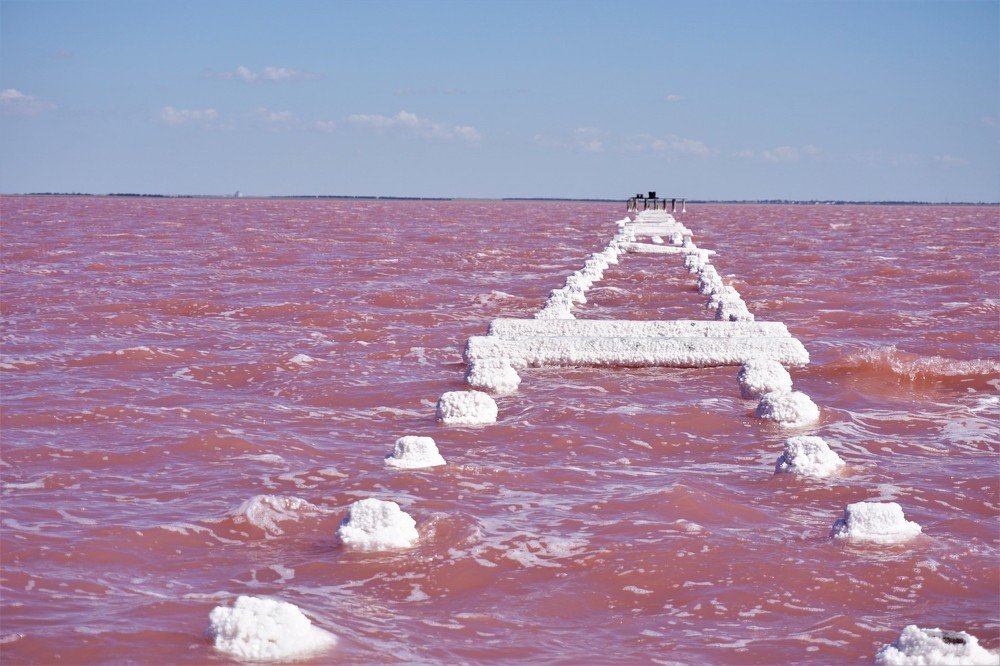 Photograph by Алеся Писнова