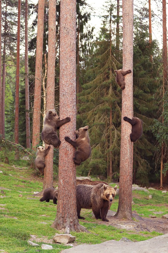 Photograph by Valtteri Mulkahainen