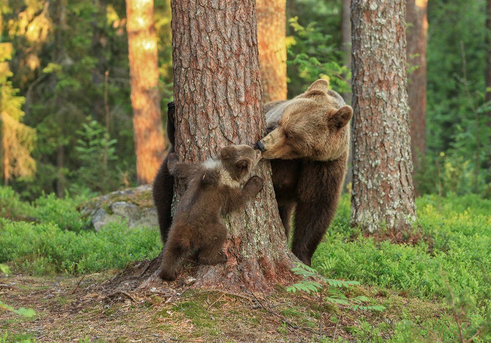 Photograph by Valtteri Mulkahainen