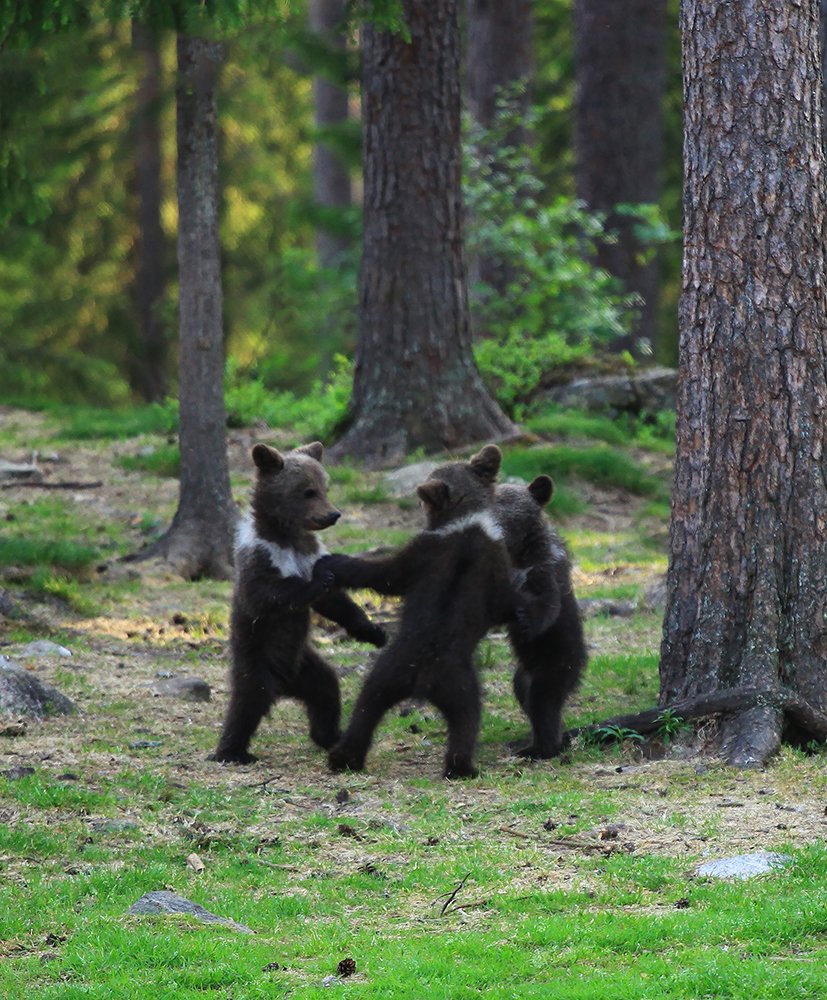 Photograph by Valtteri Mulkahainen