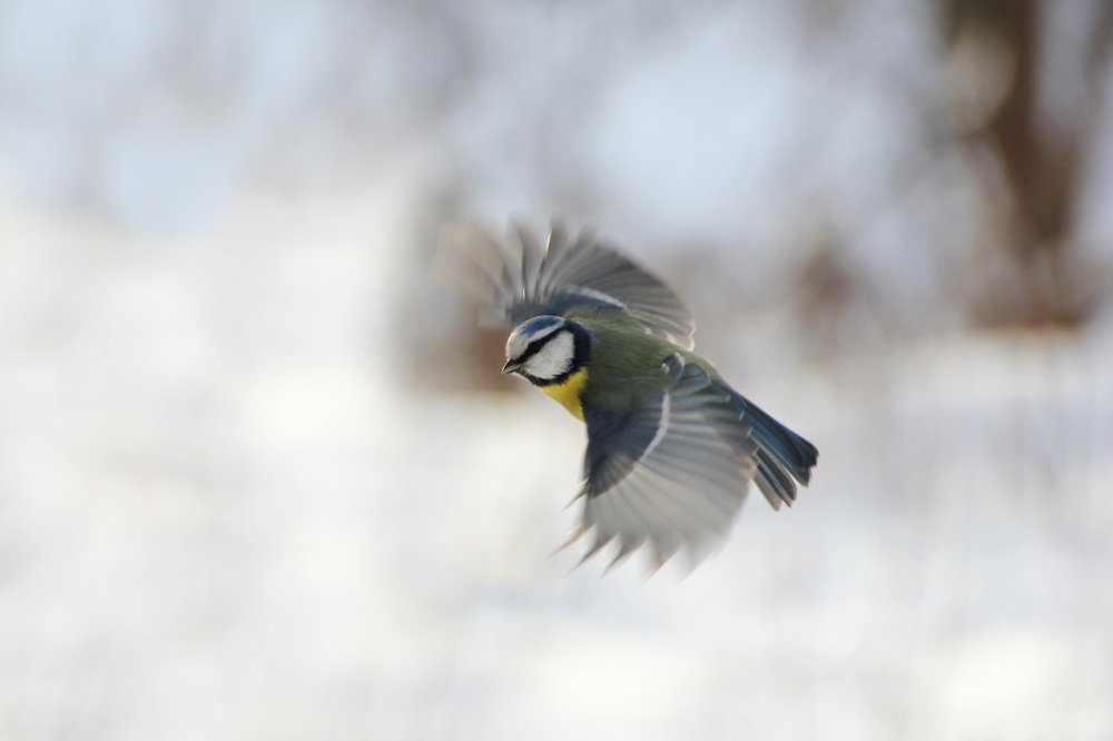 Photograph by Наталья Гайдукевич