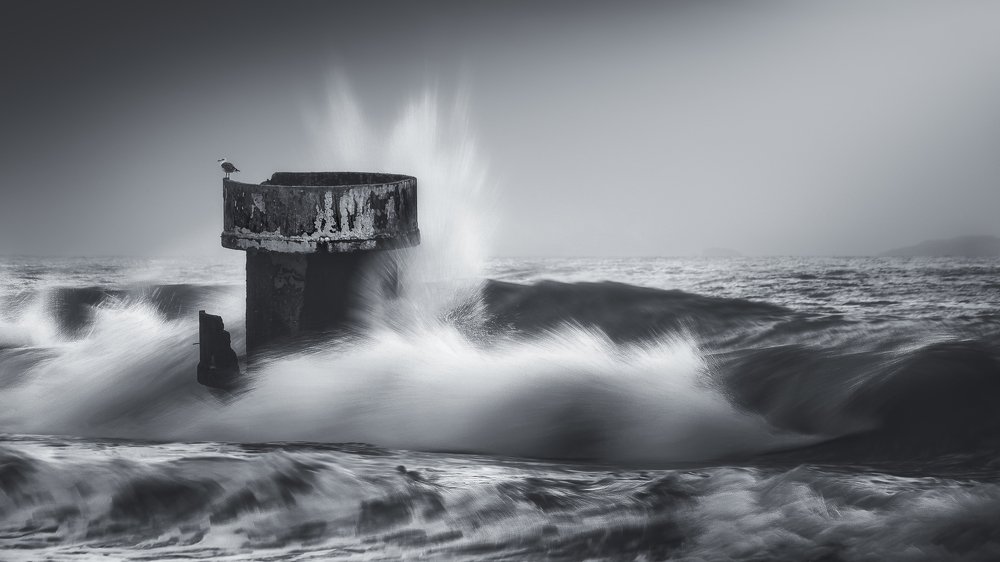 The impetuous and the calm one