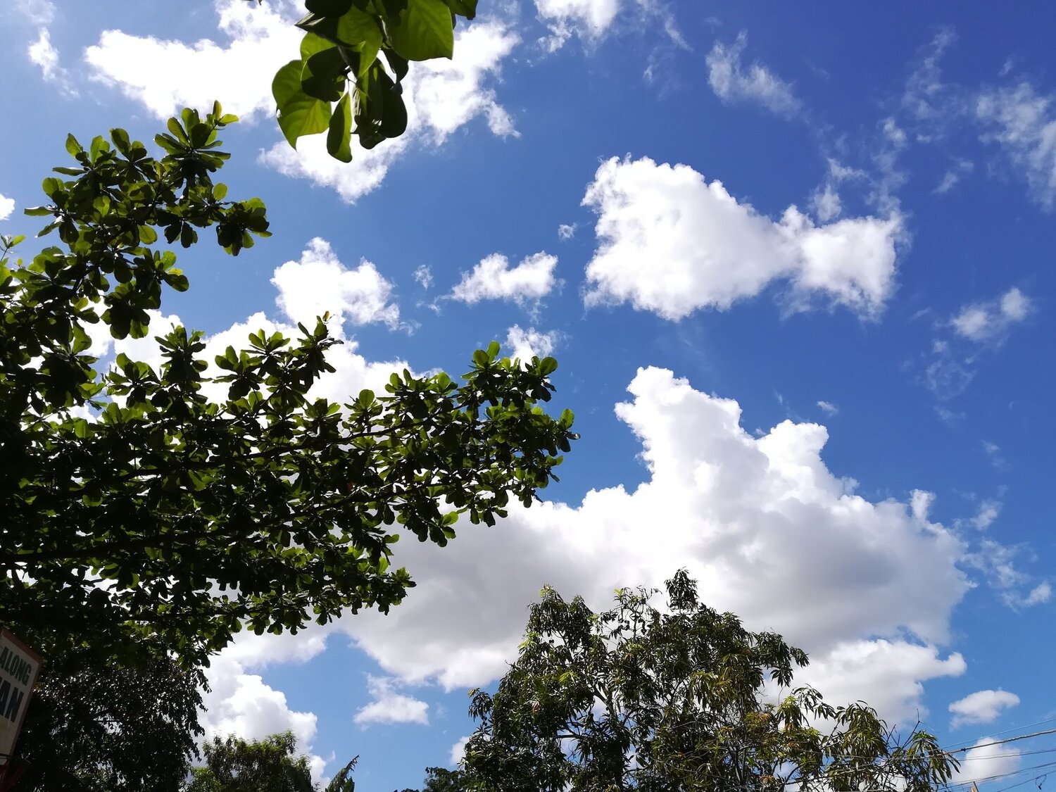 Bluesky