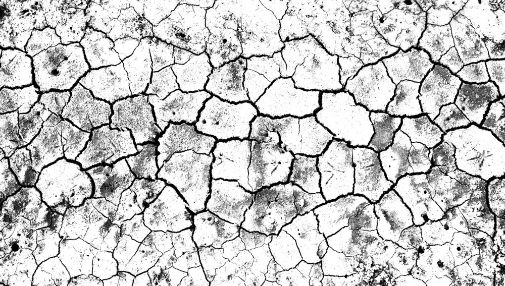 Фотография автора Solaiman Hossen