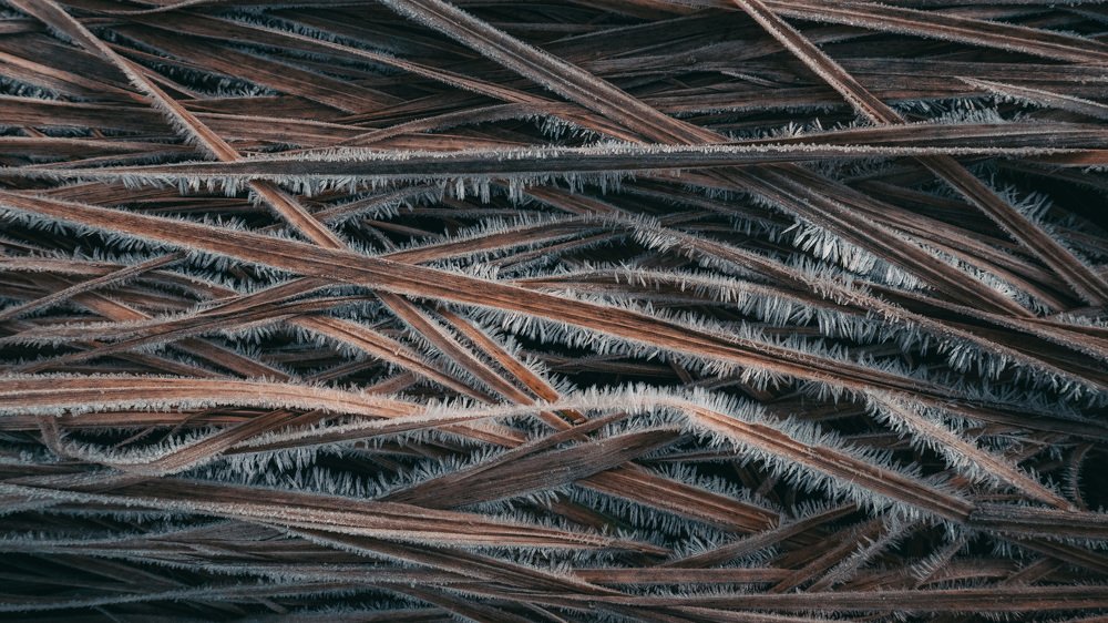 Photograph by Сергей