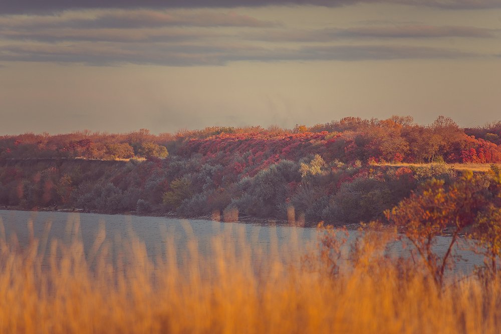 Фотография автора Ольга Осипова