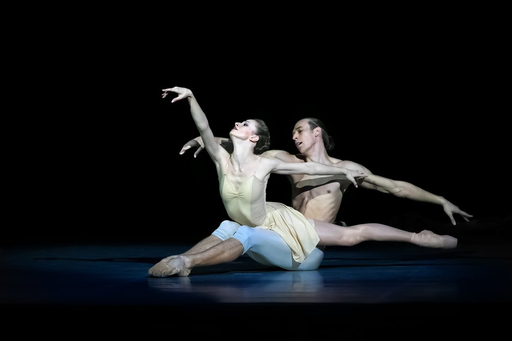 Фотография автора Елена Баврина