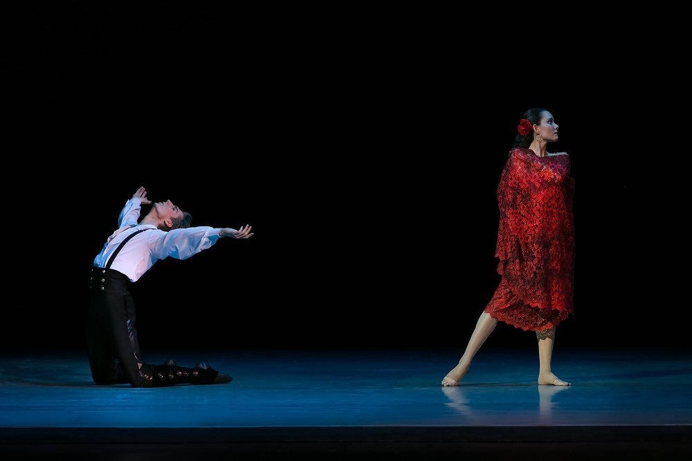 Фотография автора Елена Баврина