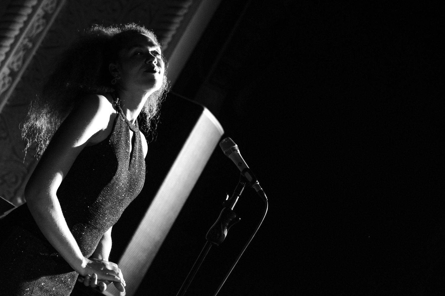 Photo #3923203