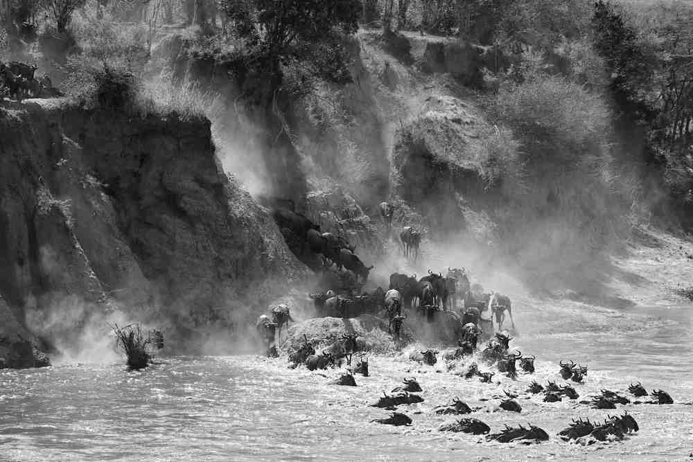 || Sun, Splash and Dust ||