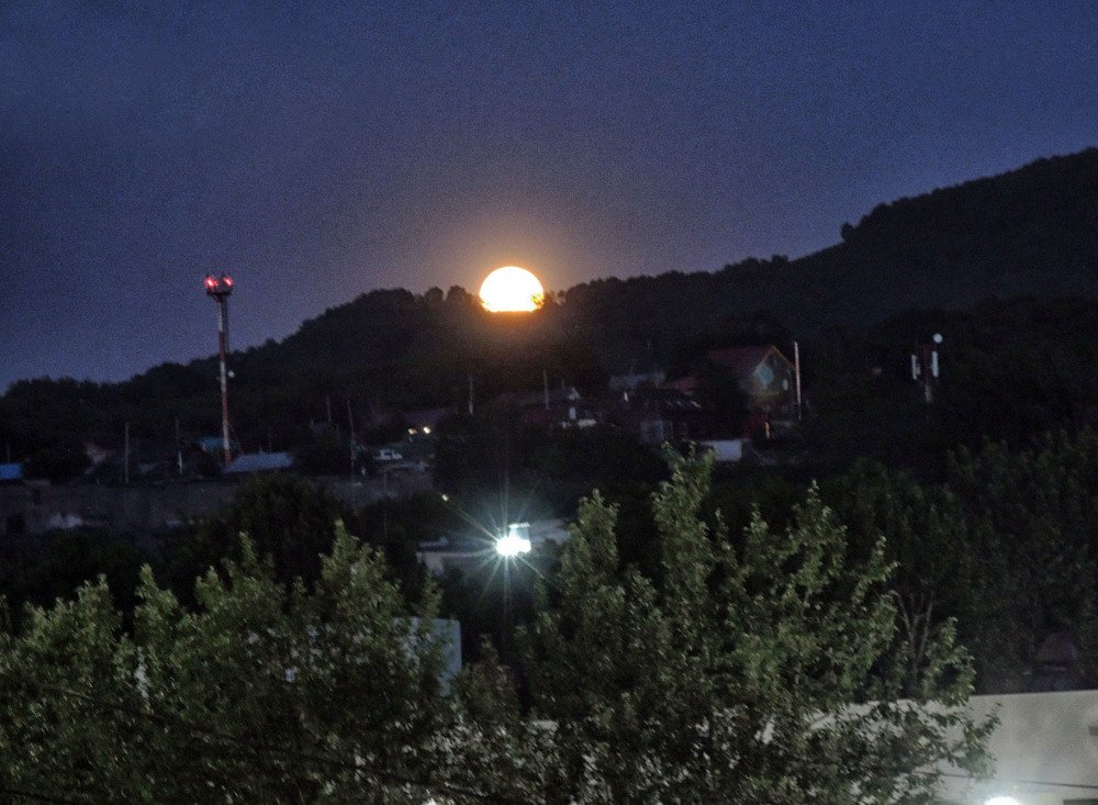 Photograph by София Гавриловна Вотякова