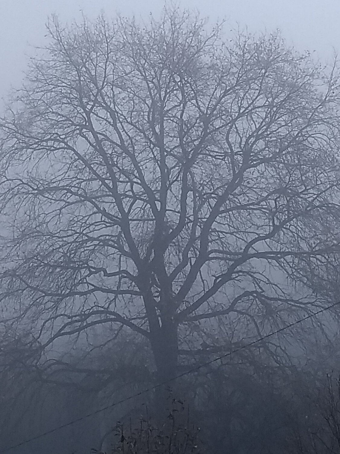 Photo #3923328