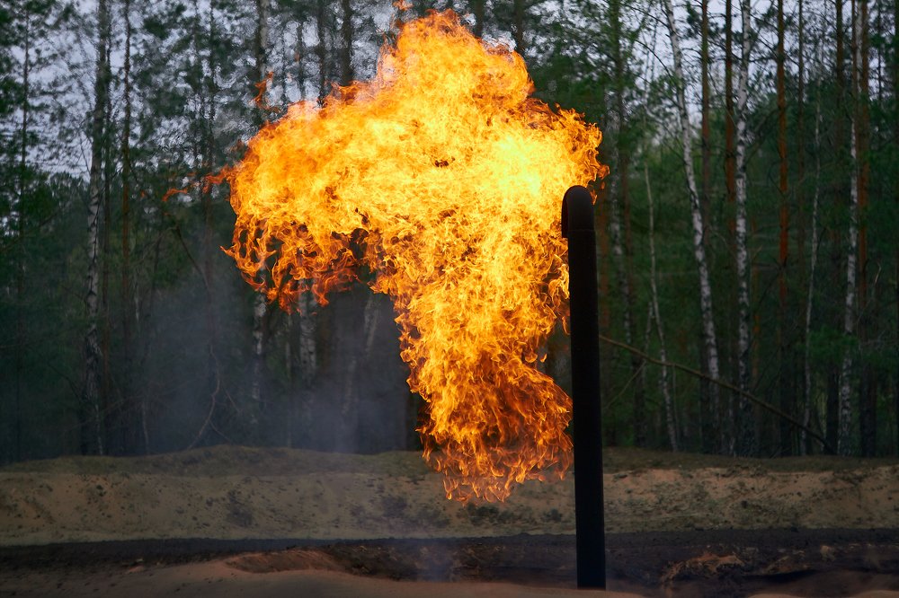 Photograph by Алексей Полухин